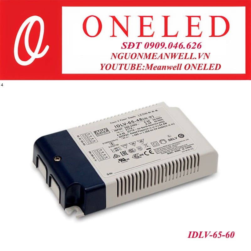 Bộ nguồn dạng tĩnh IDLV-65-60
